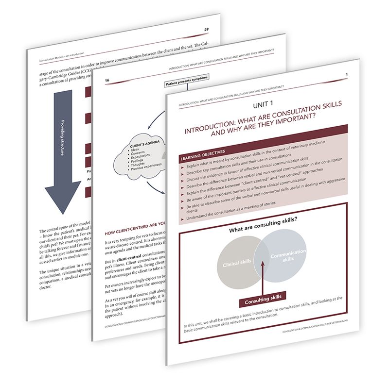 Pages from the course notes