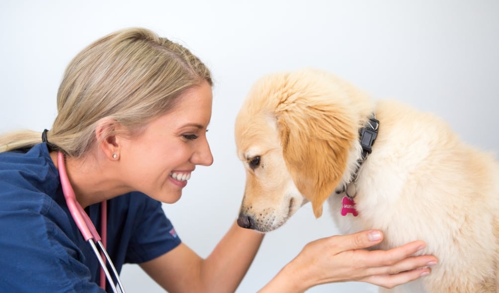 Dr Claire Stevens with a puppy